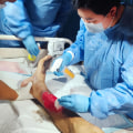 Necrosis Risks Explained What Does Necrotic Skin Tissue Smell Like and When to Seek Urgent Care